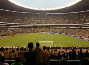 跆拳道姐妹,并肩,共同成长之,QY球友会体育,QiuYou,Sports,QY球友会体育网址,QY球友会app,QY球友会官网,QY球友会集团