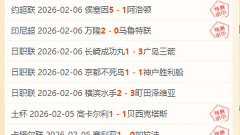 王毅与沙特外交大臣费萨尔进行交流